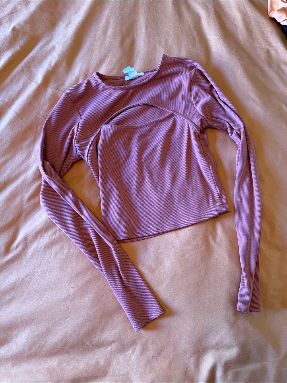 Full Tilt Dusty Mauve Long Sleeve Crop Top
